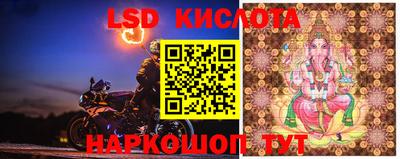 PSILOCYBIN Моздок