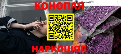 PSILOCYBIN Моздок
