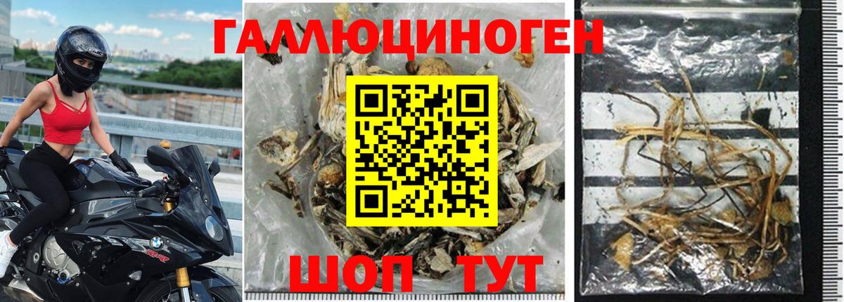 Галлюциногенные грибы MAGIC MUSHROOMS Губкин