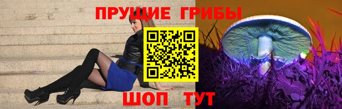 Губкин  Псилоцибиновые грибы GOLDEN TEACHER  Вход с VPN 